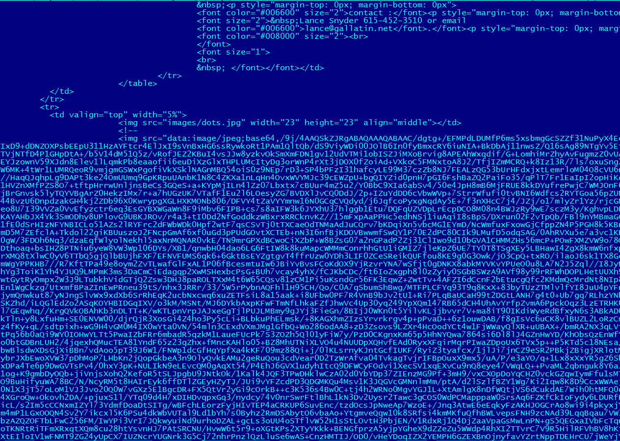Сайт вредоносный код. Вредоносный код. Как выглядит вредоносный код. Код Трояна. Вредоносные программы картинки.
