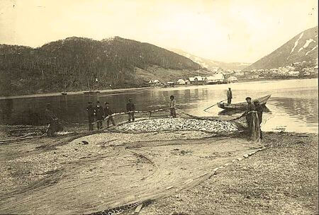 Лов сельди в гавани, 1930-е гг. #drweb
