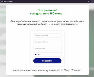 Net Fraud